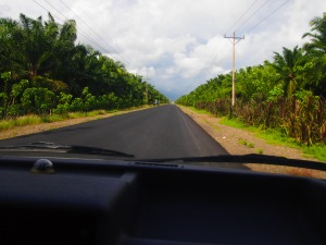 Banana plantations on our way to the Manuel Antonio (coast). Temp is quickly rising to 95 degrees