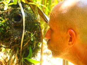 Dan kissing monster moss