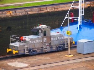 The "mules" directing the ship inside the lock