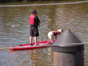...and of course a dog on a paddle board!